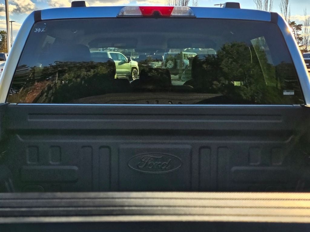 2025 Ford F-150 Lightning XLT