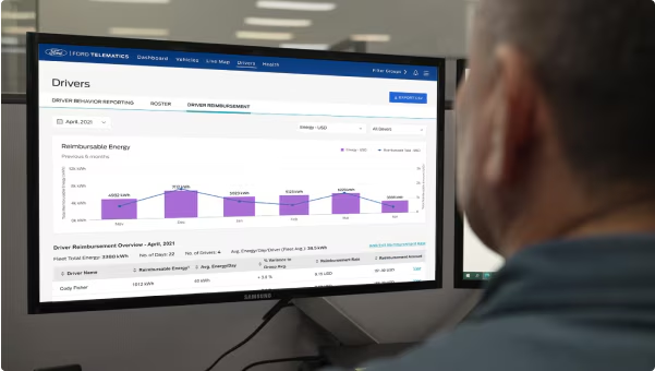 Person viewing driver energy reimbursement data on computer screen.