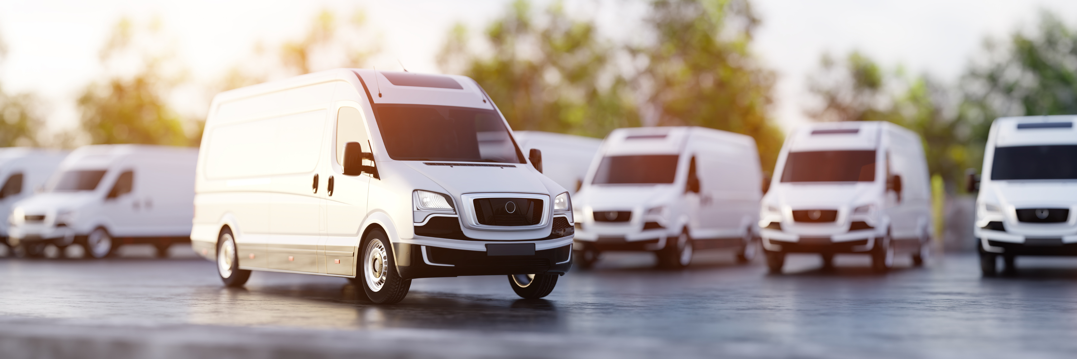 A fleet of Ford vehicles